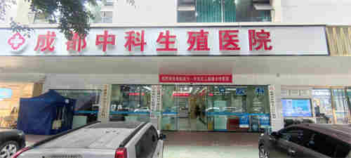 55岁高龄失独女性，在广州做试管婴儿成功率多少？