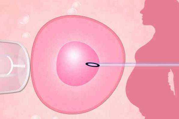 武汉助孕哪家医院专业 2024武汉协和医院做三代试管筛查一个胚胎要多少钱？