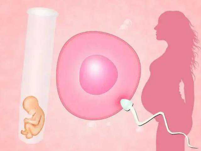 台州供卵生二胎 2024在浙江省台州医院做试管婴儿如何提高成功率？ ‘彩超看男