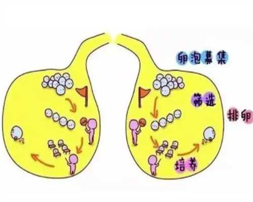 重庆供卵试管最新价格表 2024重庆市妇幼保健院试管婴儿收费明细 ‘怀女孩的早