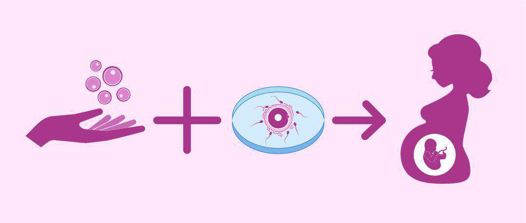 温州卵子性别包成功 温州做试管哪个医院成功率高? ‘孕彩超单子怎么看男女’