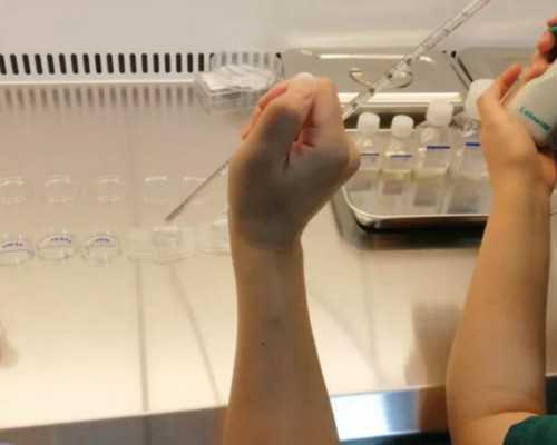 新西兰移民投资（新西兰移民人数3月下降：增长趋势可能放缓）