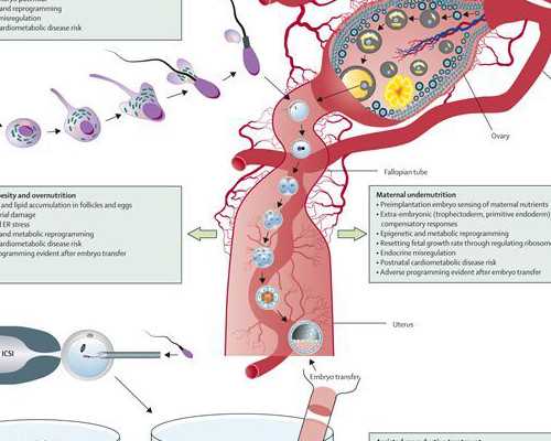 澳洲 购房移民 188a（会计申请澳洲技术移民职业评估机构怎么选？）