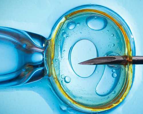 入籍西班牙再移民美国【美国首次发布《对国际教育的新承诺》，赴美留学迎来