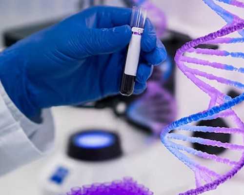 2026年美国新移民数（美国移民分布图，适不适合移民生活一看便知！）