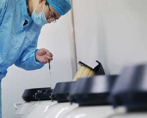 10细胞4级胚胎着床成功率，10细胞4级胚胎好不好