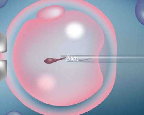 新西兰技术移民海外申请【移民新西兰后,可享受哪些新西兰福利待遇?】