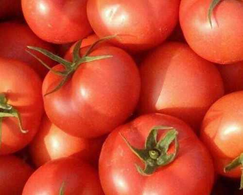 188b澳洲移民条件【澳洲这个职业很吃香，不要学历技能】