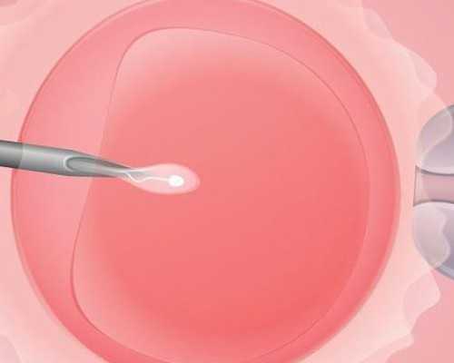 移民澳洲攻略可以吗{疫情期间没人移民？NO!百度数据显示：加拿大移民热度超