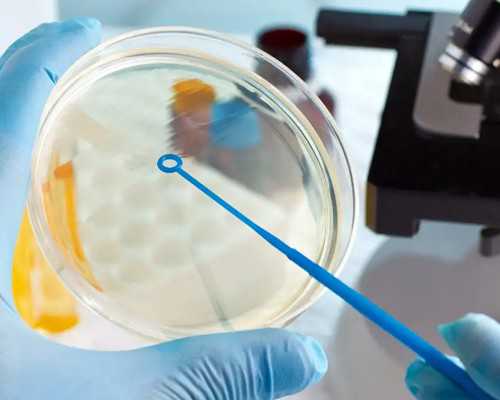 澳大利亚457雇主担保移民条件（澳大利亚移民难不难，看看现在的复杂条件就知