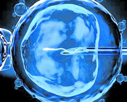 新西兰 亲属担保移民【新西兰移民技巧】