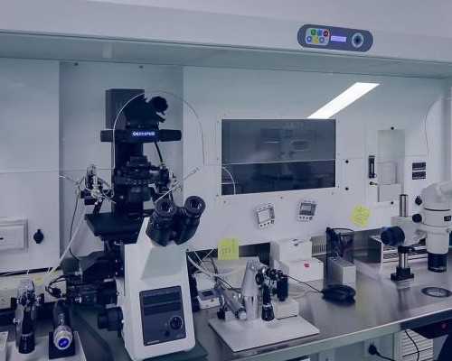 新西兰新移民语言学习【新西兰移民新政前，新西兰技术移民仅剩两次机会！】