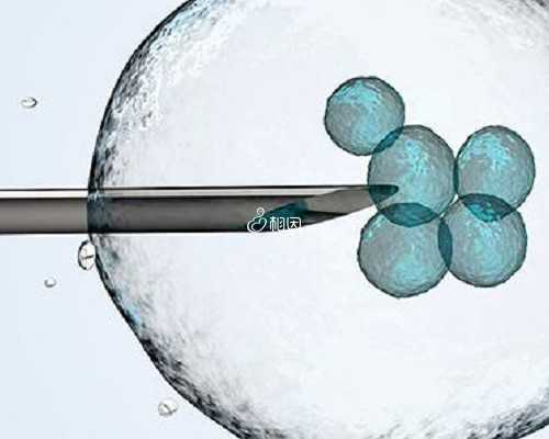 怀孕6周白带多正常吗,试管代孕机构