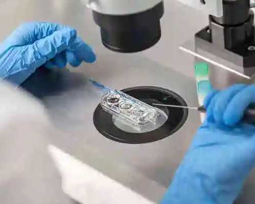 美国移民子女年龄冻结【美国绿卡和移民有什么区别，哪个难度更大一些？】