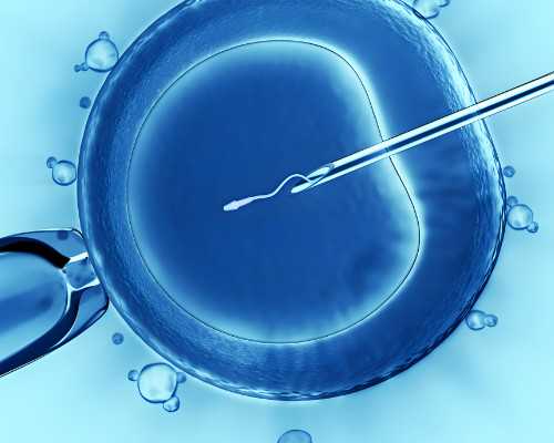 预产期怎么算才最准确，怀孕预产期怎么算,试管供卵自怀