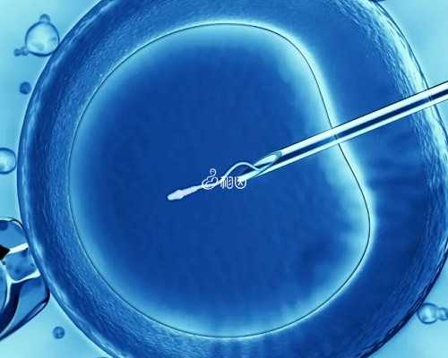 新西兰移民2026(新西兰移民优势)