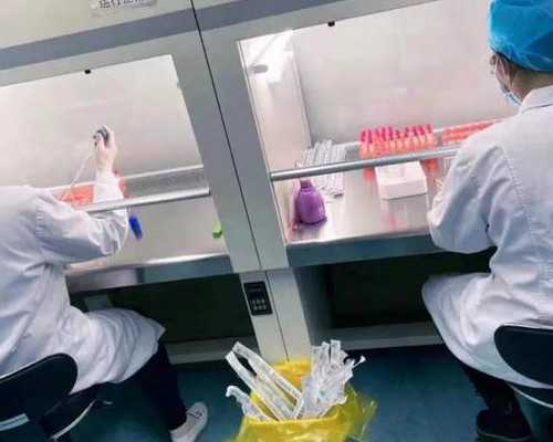 澳洲学飞行移民(澳洲189技术移民完整费用清单详解!)