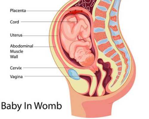 重庆试管代怀代生机构 2026重庆供卵试管医院包生男孩 ‘b超单数据看男女’