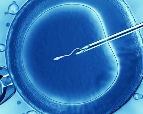 美国移民时间 2026【吃货无国界！带你扒一扒美国最经典、最治愈的6大美食！】