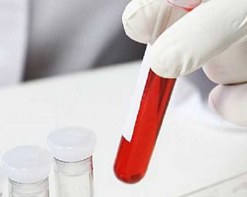 美国移民入境流程（访美必看：美国入境究竟什么不能带？）