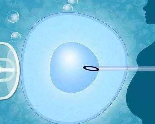 怀孕50天胚芽8mm正常吗