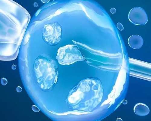 泰国试管婴儿该不该养囊胚