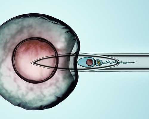 卵泡发育不成熟原因有哪些！卵泡发育不成熟该怎么办！,代怀代生孩子