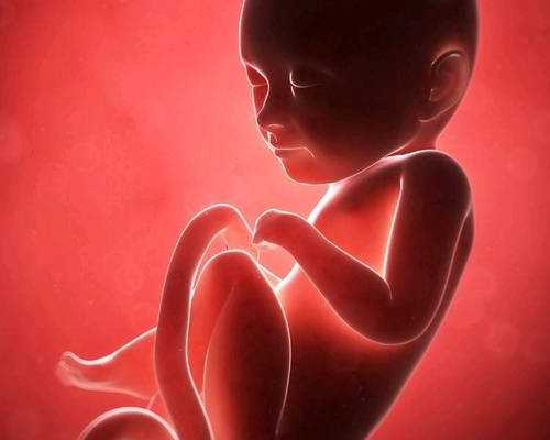 重庆靠谱供卵试管包男孩 重庆妇幼保健院试管婴儿多少钱? ‘19周的彩超看男女