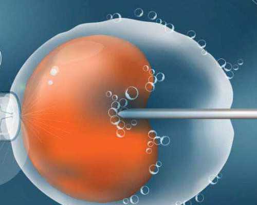 移民新西兰优缺点（新西兰留学移民告诉你新西兰留学生的日常生活）