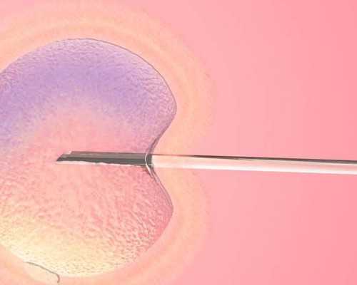 新西兰技术移民清单2026【新西兰移民政策】