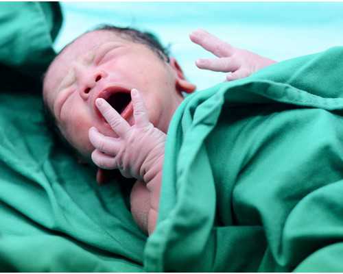 2015年新西兰雅思移民 生活技能【2026新西兰投资移民政策有哪些变化？申请条件