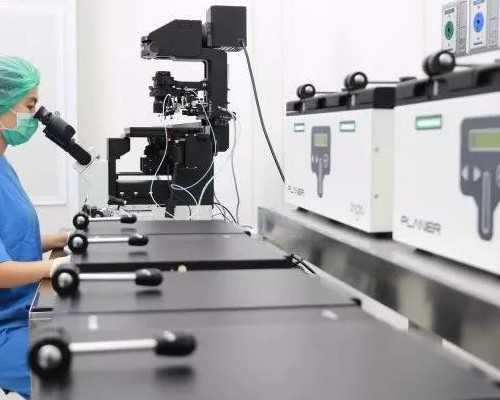 重庆供卵试管代怀费用 重庆妇幼保健院试管成功率高吗? ‘九周的孕囊看男女’