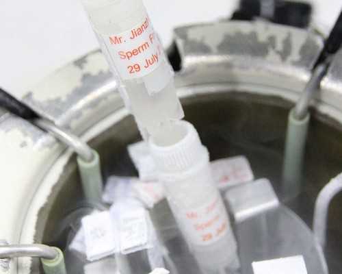 移民新西兰乙肝顺利（新西兰留学移民条件）