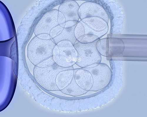 重庆代怀中心收费 2026年重庆妇幼保健院生殖科可以申请供卵试管吗？ ‘32周双