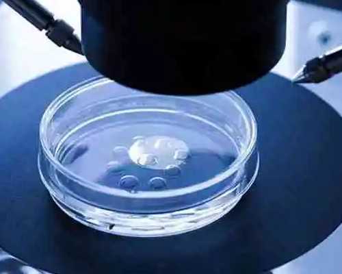 技术移民新西兰需要什么条件（新西兰创业移民企业家类别工签的拒签率超九成