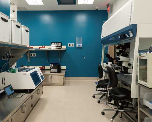 重庆代生孩子怎么办 重庆西南医院做试管婴儿怎么样? ‘怀孕32周肚型看男女’