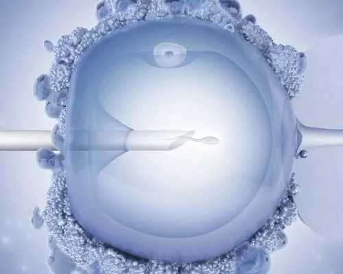 怀孕前三个月每日三餐食谱表？黄鱼汤、鲫鱼汤都很不错？,正规代孕机构