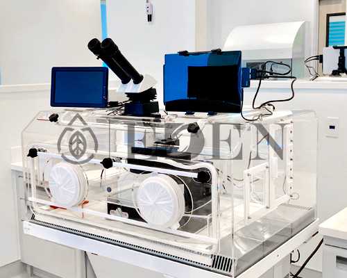 焦虑症会导致胎停吗,正规代怀