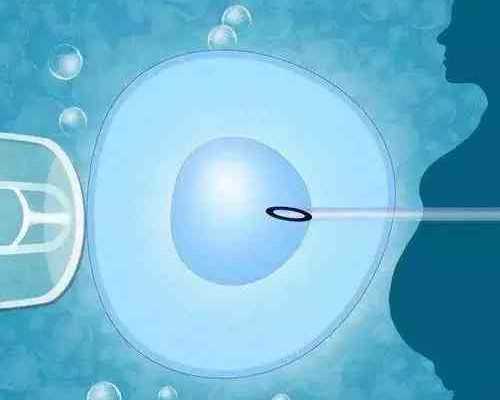 父母移民澳洲是不是要一直住在哪里【真实职位成澳洲457移民签证获批关键！】