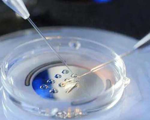 新西兰最新移民政策(留学新西兰或成为新西兰技术移民的捷径)