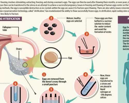澳洲163移民是什么【澳洲188A移民通过率高吗,转永居太难了?】