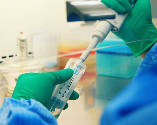 国际游学 澳洲移民【澳洲移民购房指南：不同房型优劣对比】