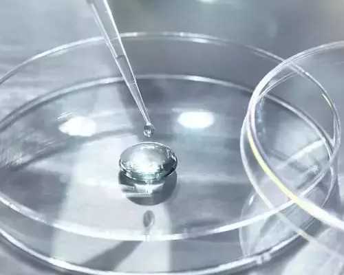 新西兰移民注意事项【双语还不够？新西兰奥克兰拟成为三语城市】