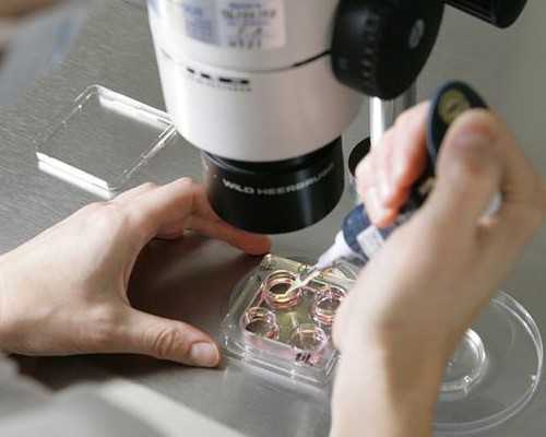 新西兰投靠移民条件（新西兰父母团聚移民新政策细节公布2月24日生效）