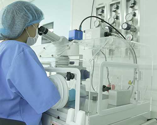 孕十二周胎停几率多大,专业代生助孕