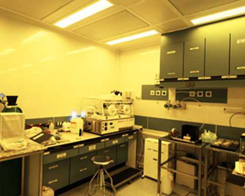 重庆代生包女孩多少钱 重庆试管婴儿医院推荐： ‘nt指标看男女’