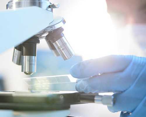 新西兰移民 无新西兰学历【新西兰移民局开放签证申请银联支付方式】