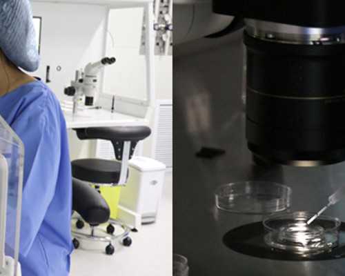 新西兰最新移民打分{移民新西兰有什么好处，客观讲述移民新西兰好不好}