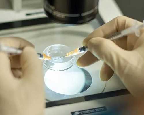 排卵后可以喝豆浆吗,试管中介医院