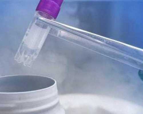 美国eb5 项目 移民中介公司（大陆移民在美国多从事什么职业）